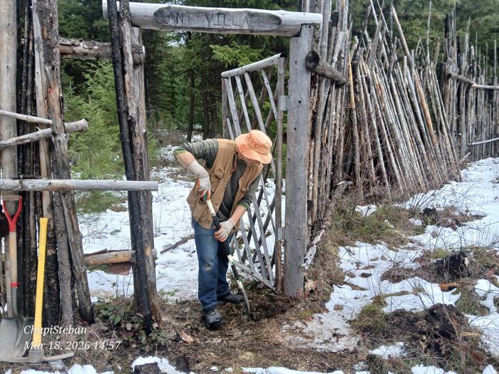 My high commander is like the energizer bunny 