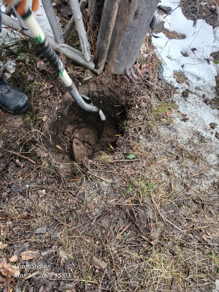 [Thumbnail for 20260318_150305.jpg]