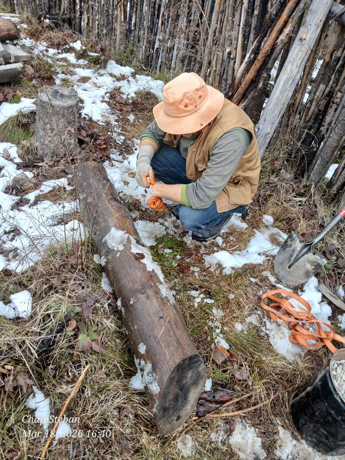 [Thumbnail for 20260318_164030.jpg]