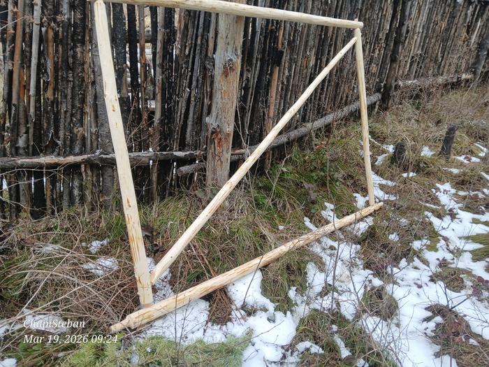 Staged outside ant village entance