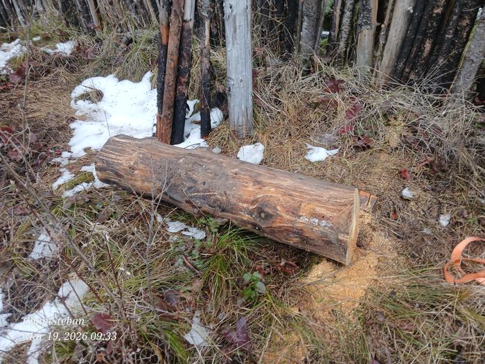 [Thumbnail for 20260319_093300.jpg]