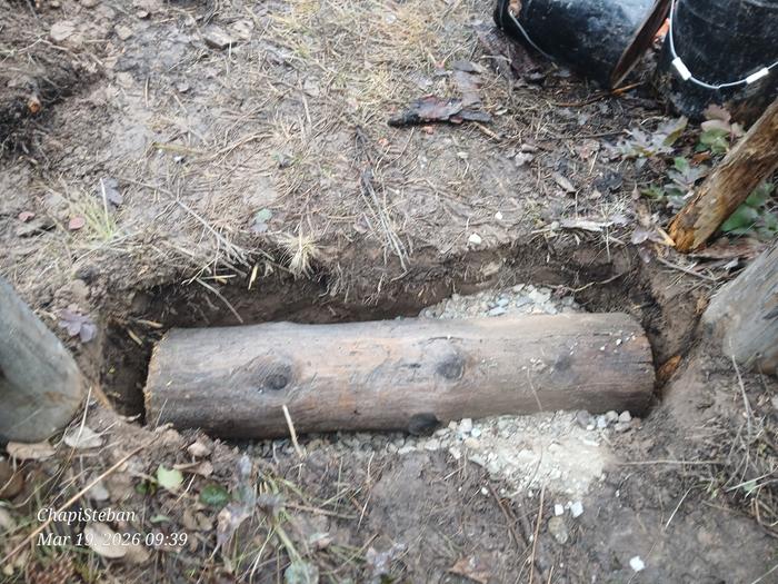 [Thumbnail for 20260319_093923.jpg]