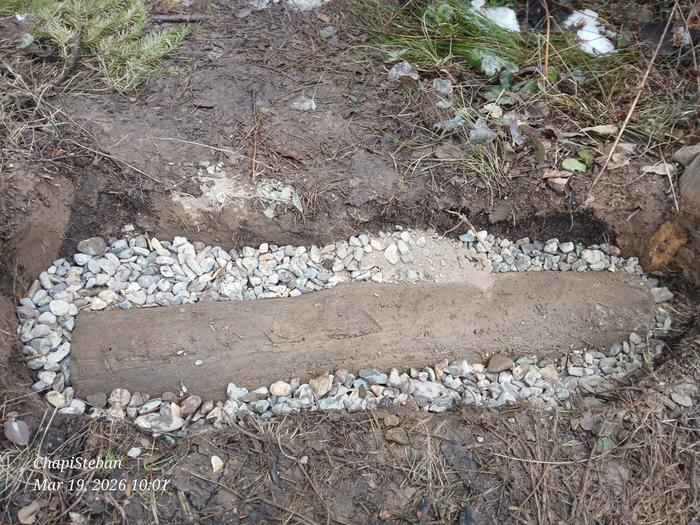 [Thumbnail for 20260319_100149.jpg]