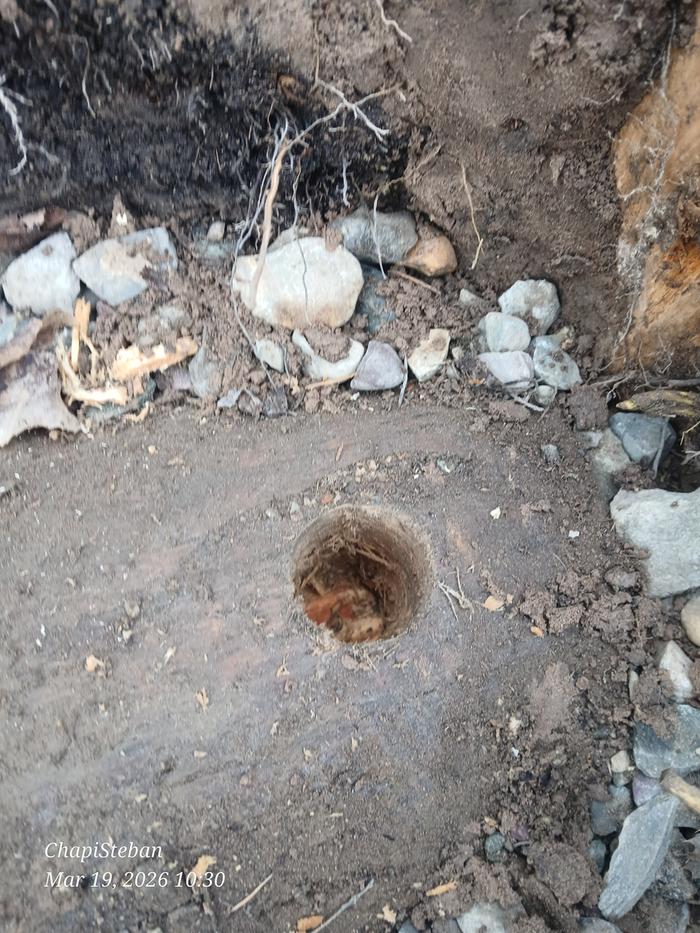 [Thumbnail for 20260319_103042.jpg]