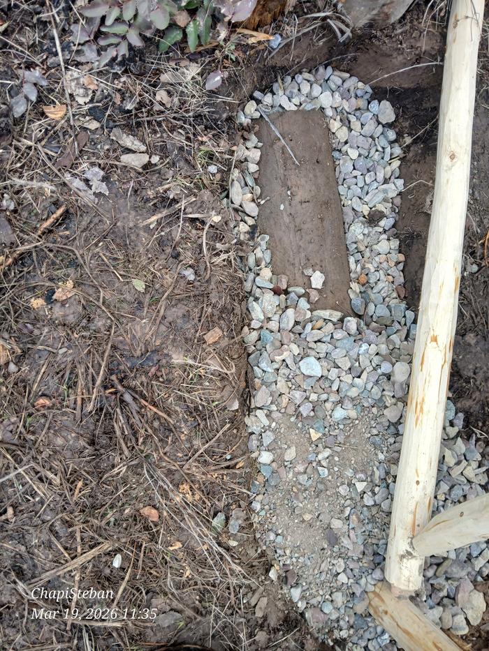 [Thumbnail for 20260319_113539.jpg]