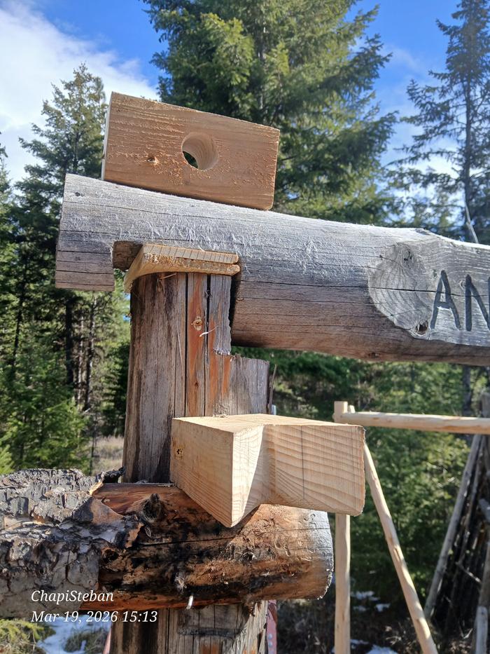 [Thumbnail for 20260319_151356.jpg]