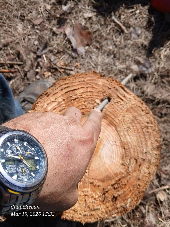 [Thumbnail for 20260319_153225.jpg]