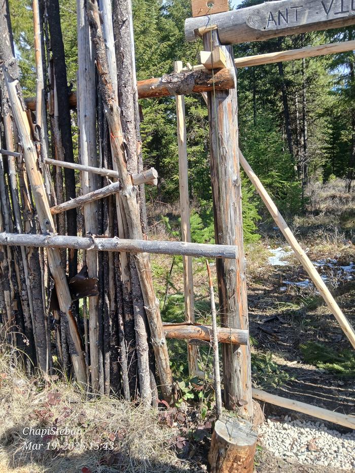 [Thumbnail for 20260319_154305.jpg]