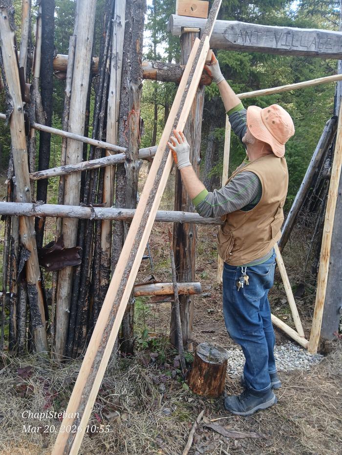 [Thumbnail for 20260320_105502.jpg]