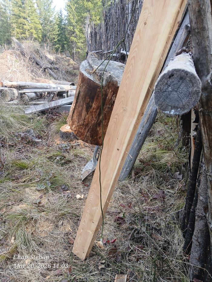 [Thumbnail for 20260320_110347.jpg]