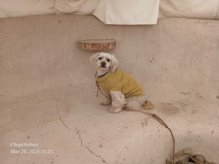 [Thumbnail for 20260320_112513.jpg]