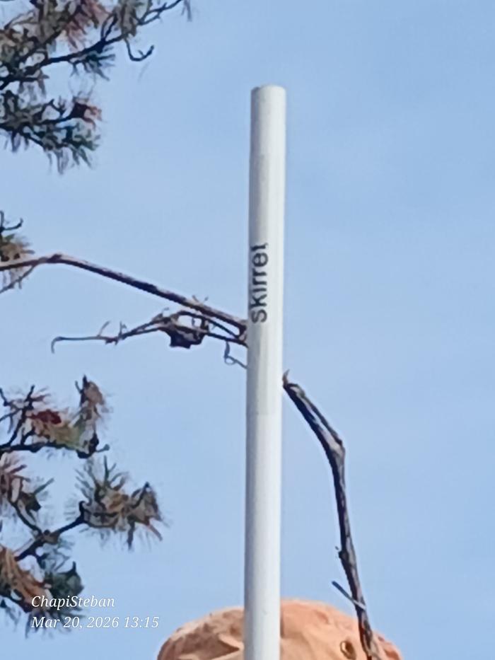 [Thumbnail for 20260320_131543.jpg]