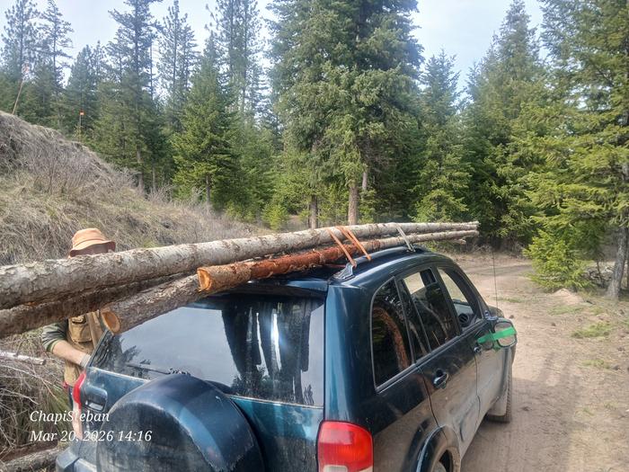 [Thumbnail for 20260320_141645.jpg]