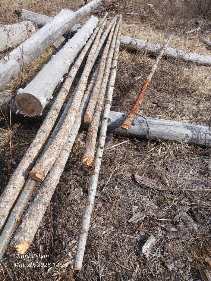 [Thumbnail for 20260320_142452.jpg]