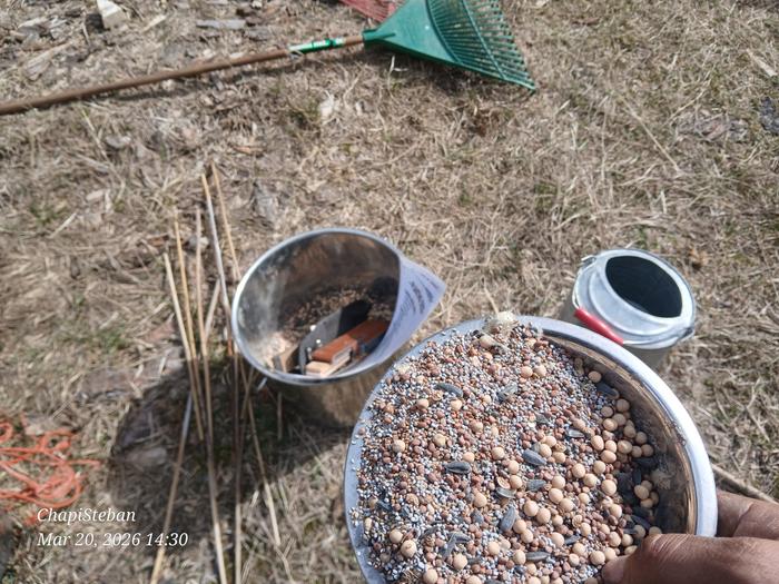 [Thumbnail for 20260320_143057.jpg]