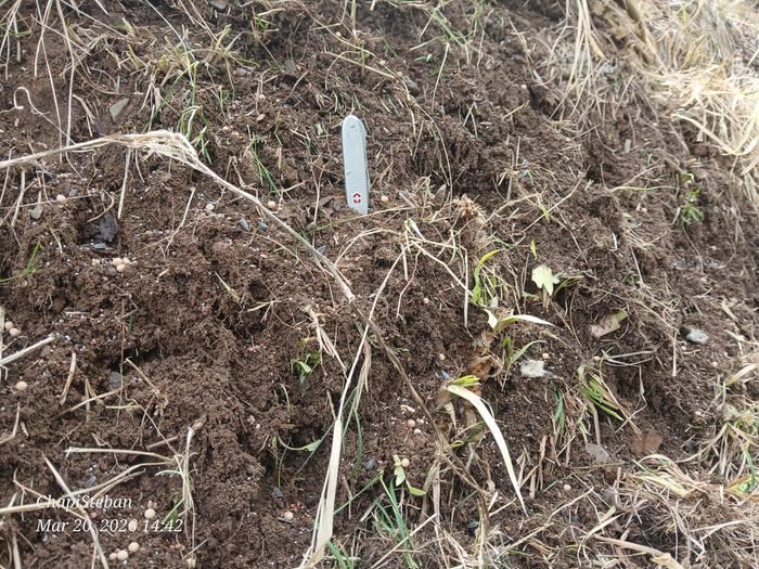 [Thumbnail for 20260320_144253.jpg]