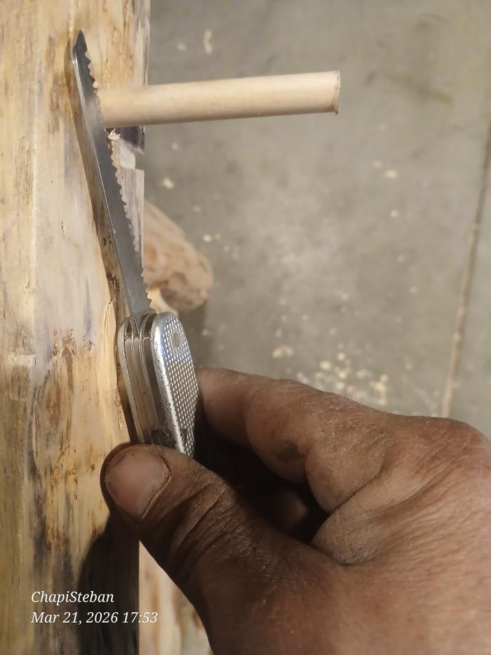 [Thumbnail for 20260321_175308.jpg]