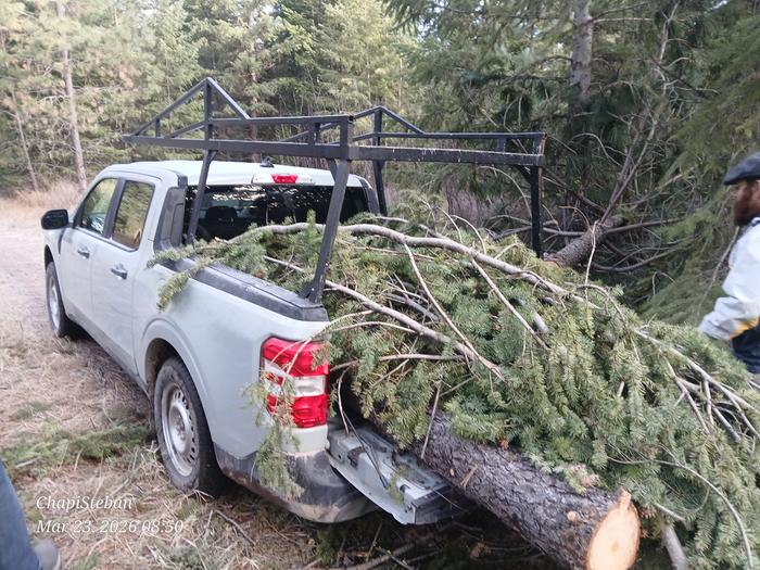 [Thumbnail for 20260323_085048.jpg]