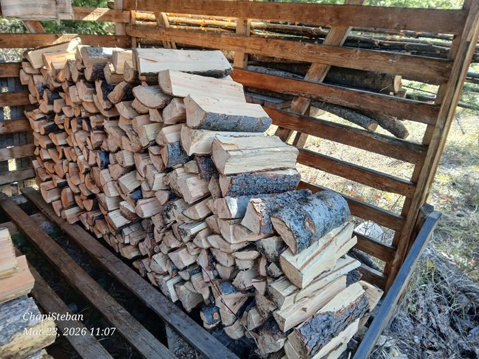 [Thumbnail for 20260323_110739.jpg]