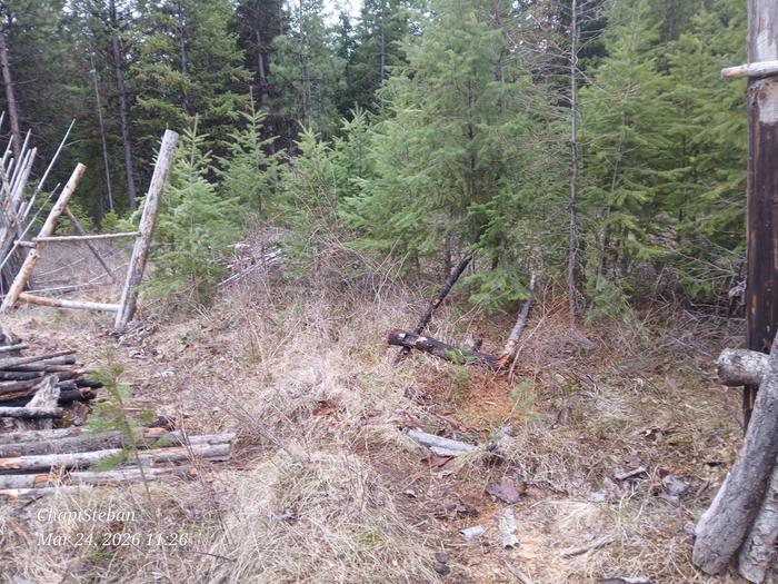 Working on the leaning vertical posts at the Abbey... cleared panels ... everything stacked ...