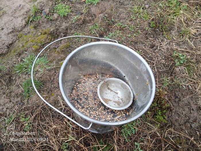 Time to lay ground cover at the Abbey