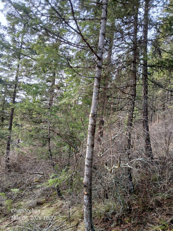 Time to harvest materials 