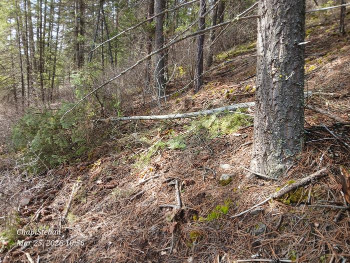 [Thumbnail for 20260325_105652.jpg]