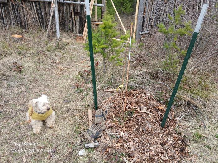 [Thumbnail for 20260325_151042.jpg]