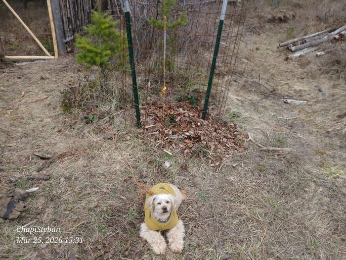 [Thumbnail for 20260325_153132.jpg]