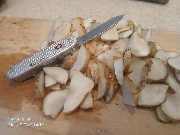 sunchokes sliced with a Swiss Army knife
