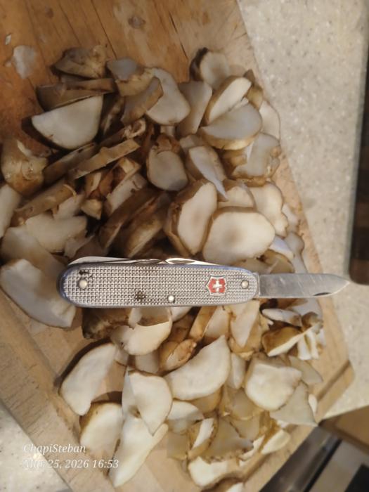 all of the sunchokes sliced up