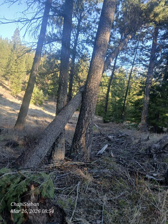 [Thumbnail for 20260326_085418.jpg]