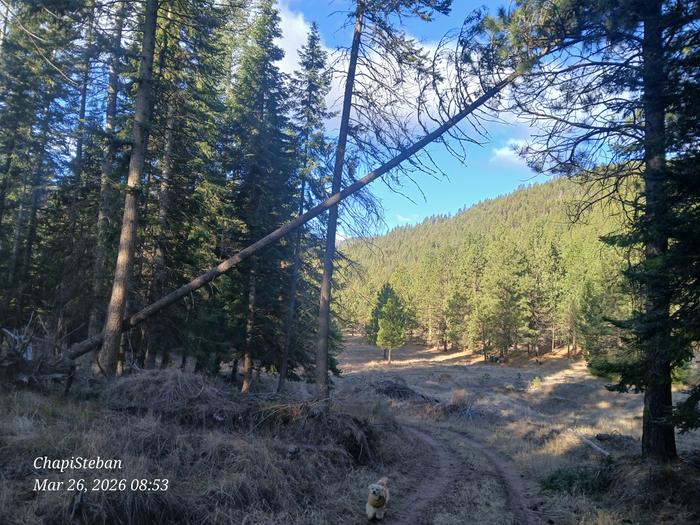 [Thumbnail for 20260326_085333.jpg]