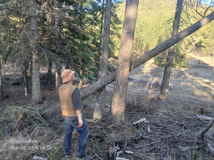 [Thumbnail for 20260326_085358.jpg]