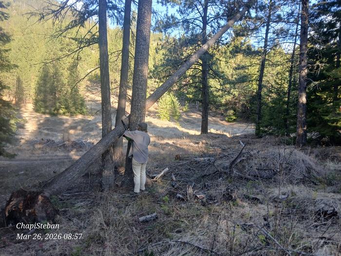 [Thumbnail for 20260326_085722.jpg]