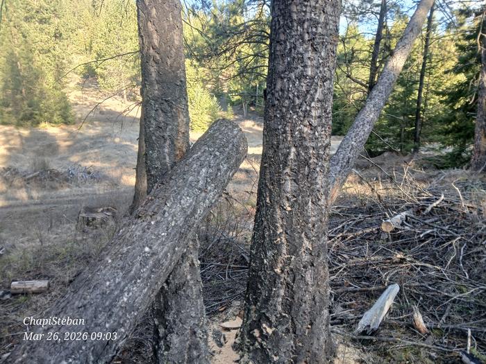 [Thumbnail for 20260326_090320.jpg]