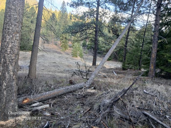 [Thumbnail for 20260326_091102.jpg]