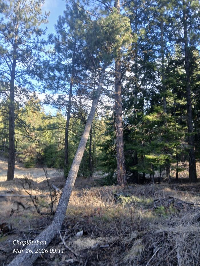 [Thumbnail for 20260326_091146.jpg]