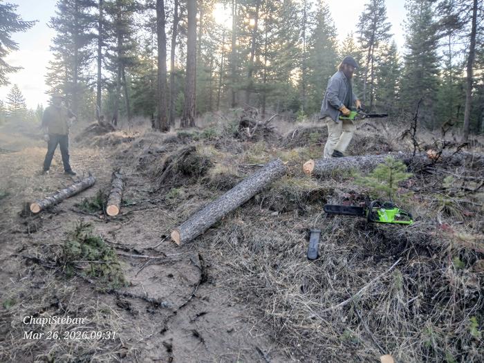 [Thumbnail for 20260326_093116.jpg]