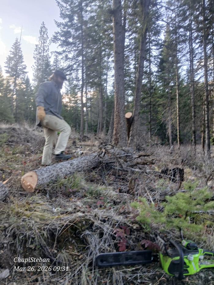 [Thumbnail for 20260326_093123.jpg]