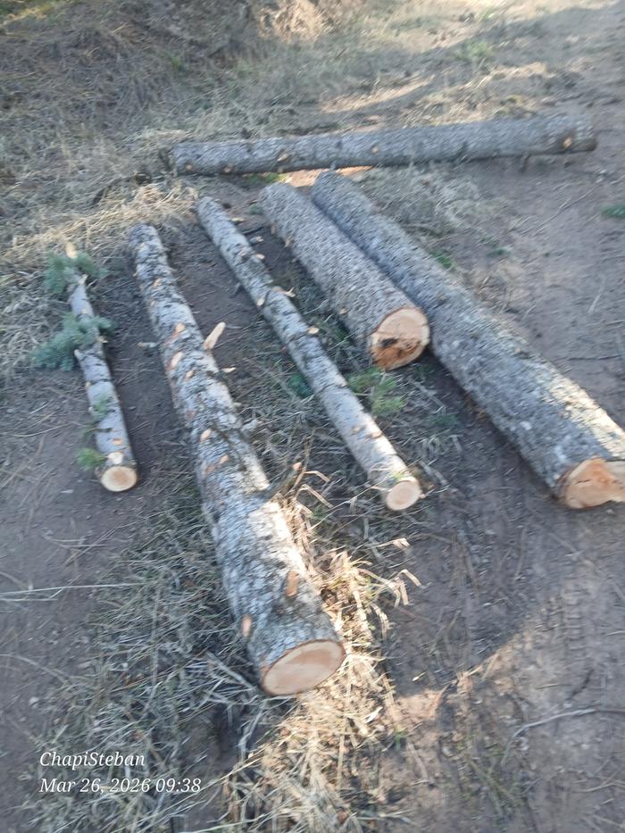 [Thumbnail for 20260326_093830.jpg]