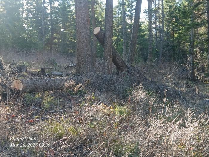 [Thumbnail for 20260326_093907.jpg]