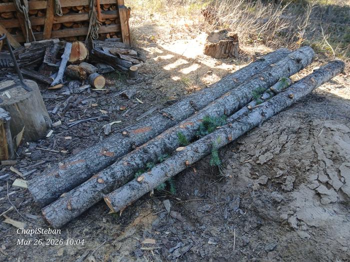 Logs staged at woodshed by Tipi site 