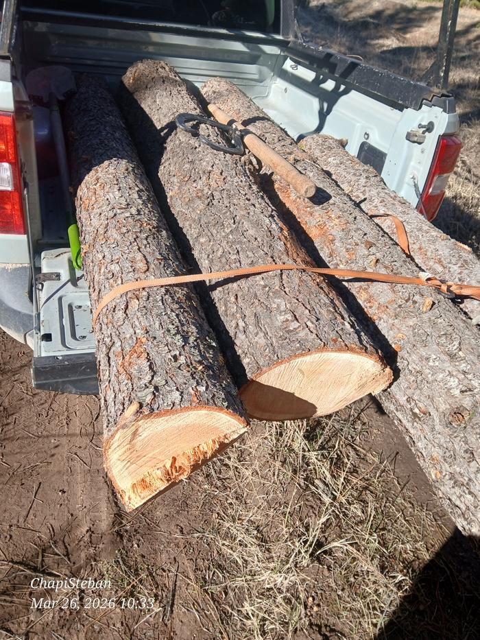 These will be headed to the sawmill site 