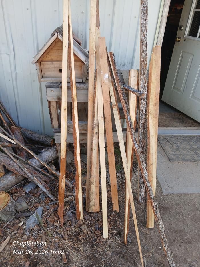 Scraps to be cut down for woody bits 