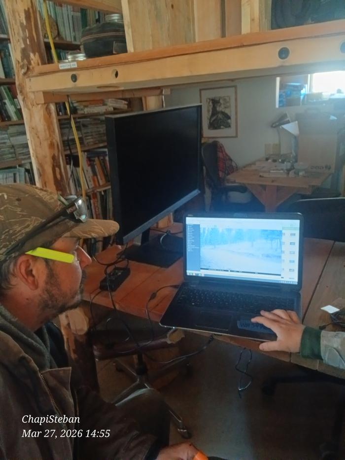 Trailcam footage review 