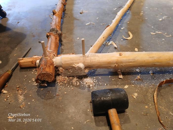 [Thumbnail for 20260328_140106.jpg]