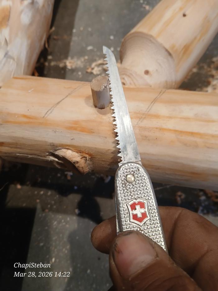 [Thumbnail for 20260328_142246.jpg]