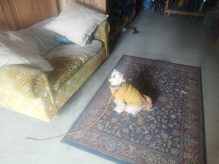 Will be placing my current coffee table build in front of that couch 