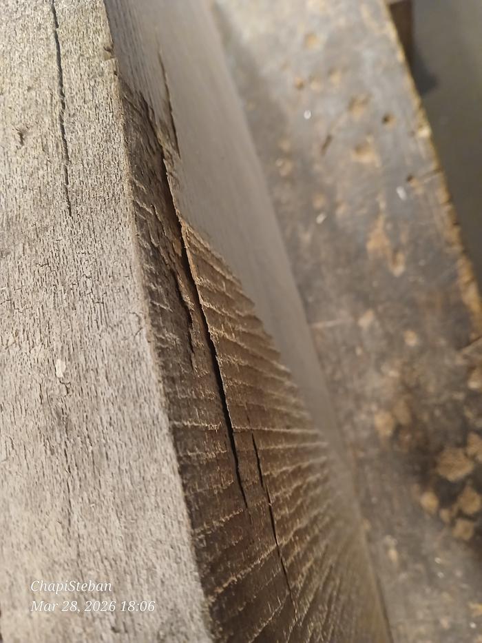 [Thumbnail for 20260328_180643.jpg]